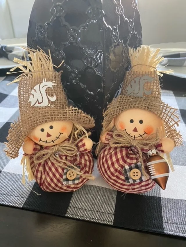 Licensed WSU Scarecrow — Tianna's Kreations
